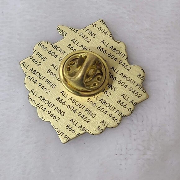 Collierville Reds 2004 NABF World Classic Pin TN Tennessee Baseball Team - Picture 3 of 5